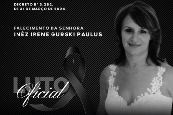DECRETO N° 3.282, DE 31 DE MARÇO DE 2024.