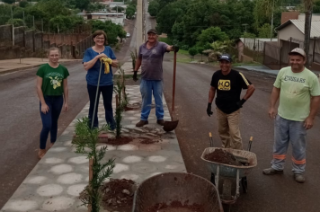 EMBELEZAMENTO DA CIDADE