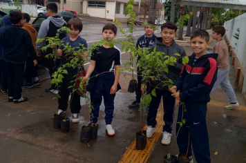 PROJETO: PAIXÃO POR GUARANI, RECEBENDO NOVAS MUDAS DE CEREJEIRAS