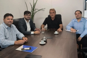 Reunião sobre Energia Elétrica em Porto Alegre