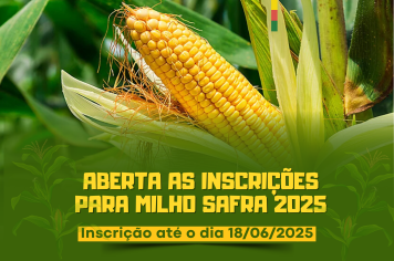 ABERTA AS INSCRIÇÕES PARA MILHO SAFRA 2025