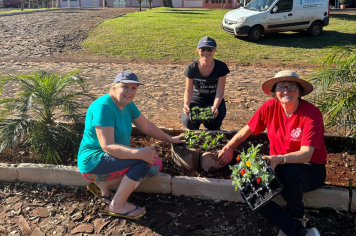 DISTRIBUIÇÃO DE MUDAS DE FLORES NAS COMUNIDADES E ENTIDADES DO MUNICÍPIO