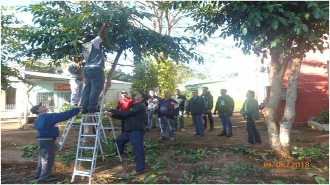 Realização no dia 19 de junho de 2018 o Curso de Manejo da Arborização Urbana e Pomares