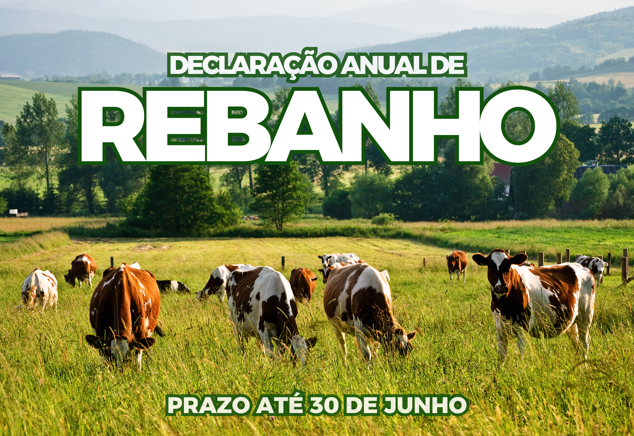 DECLARAÇÃO ANUAL DE REBANHO