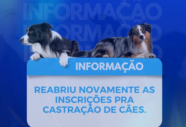 CASTRAÇÃO DE CACHORROS MACHOS