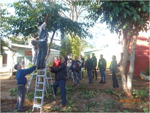 Realização no dia 19 de junho de 2018 o Curso de Manejo da Arborização Urbana e Pomares