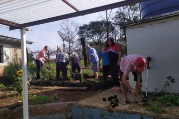 PLANTANDO E CULTIVANDO NOSSOS PRÓPRIOS CHÁS.